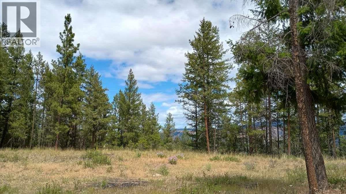 640 Highway 3 Unit# 1, Princeton, British Columbia  V0X 1W0 - Photo 11 - 10329628