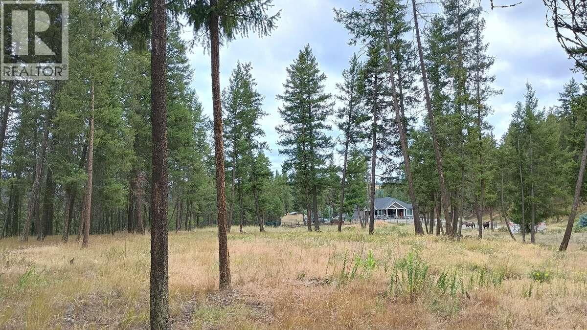 640 Highway 3 Unit# 1, Princeton, British Columbia  V0X 1W0 - Photo 14 - 10329628