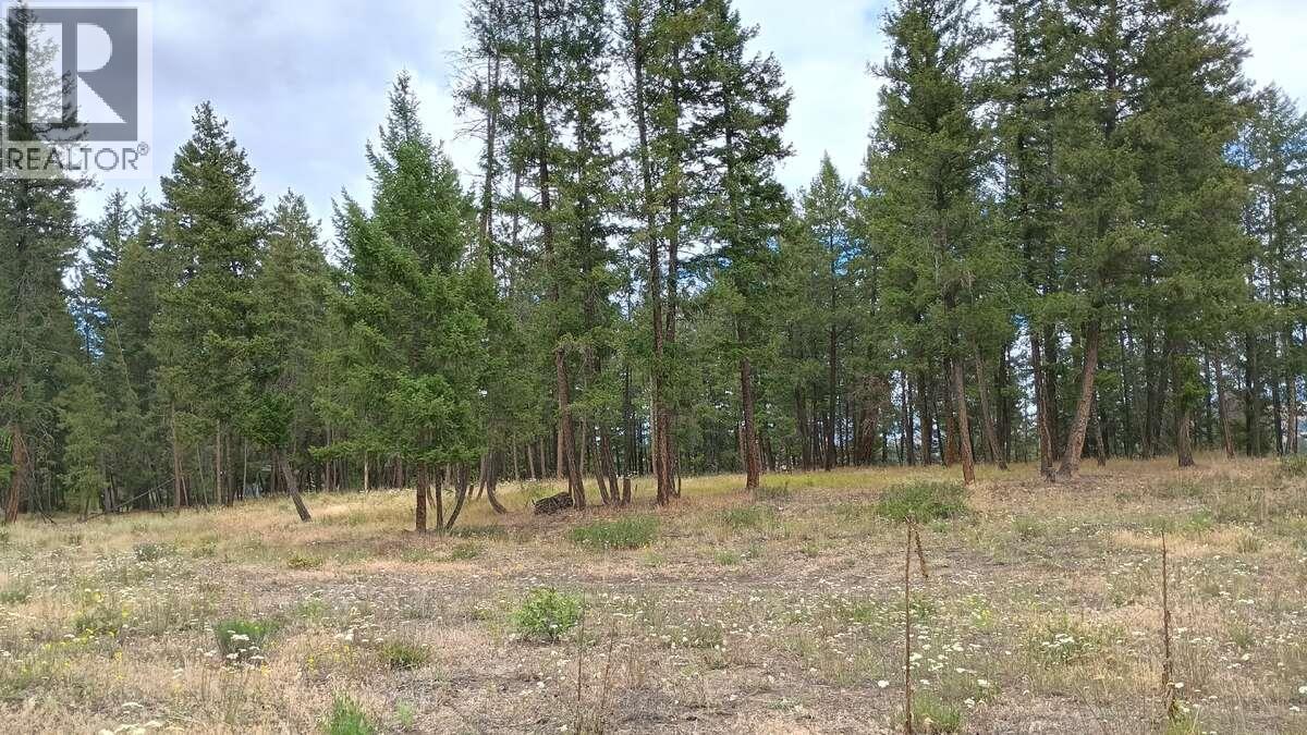 640 Highway 3 Unit# 1, Princeton, British Columbia  V0X 1W0 - Photo 10 - 10329628