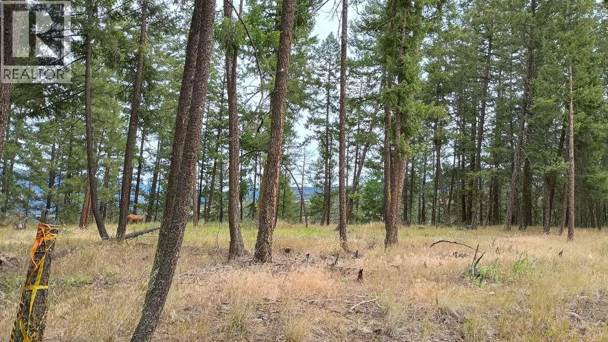 640 Highway 3 Unit# 1, Princeton, British Columbia  V0X 1W0 - Photo 15 - 10329628