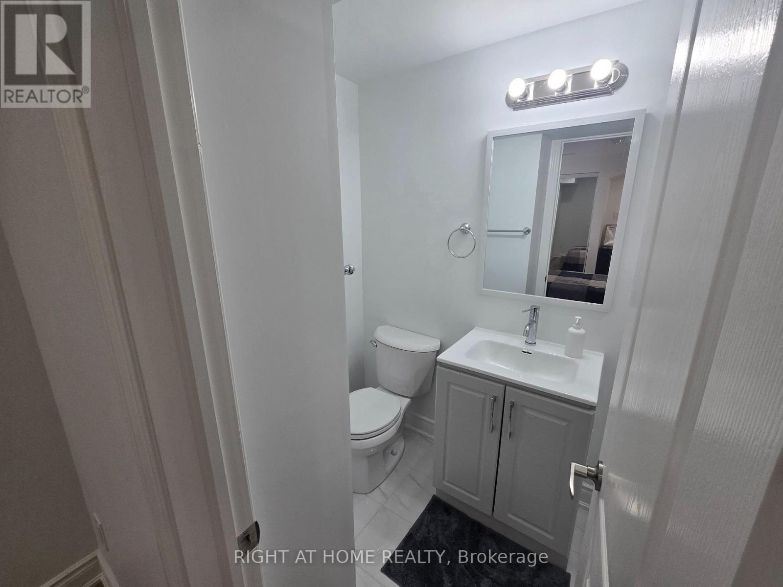 Basement - 458 Bergamot Avenue, Milton, Ontario  L9E 1T8 - Photo 30 - W13412420