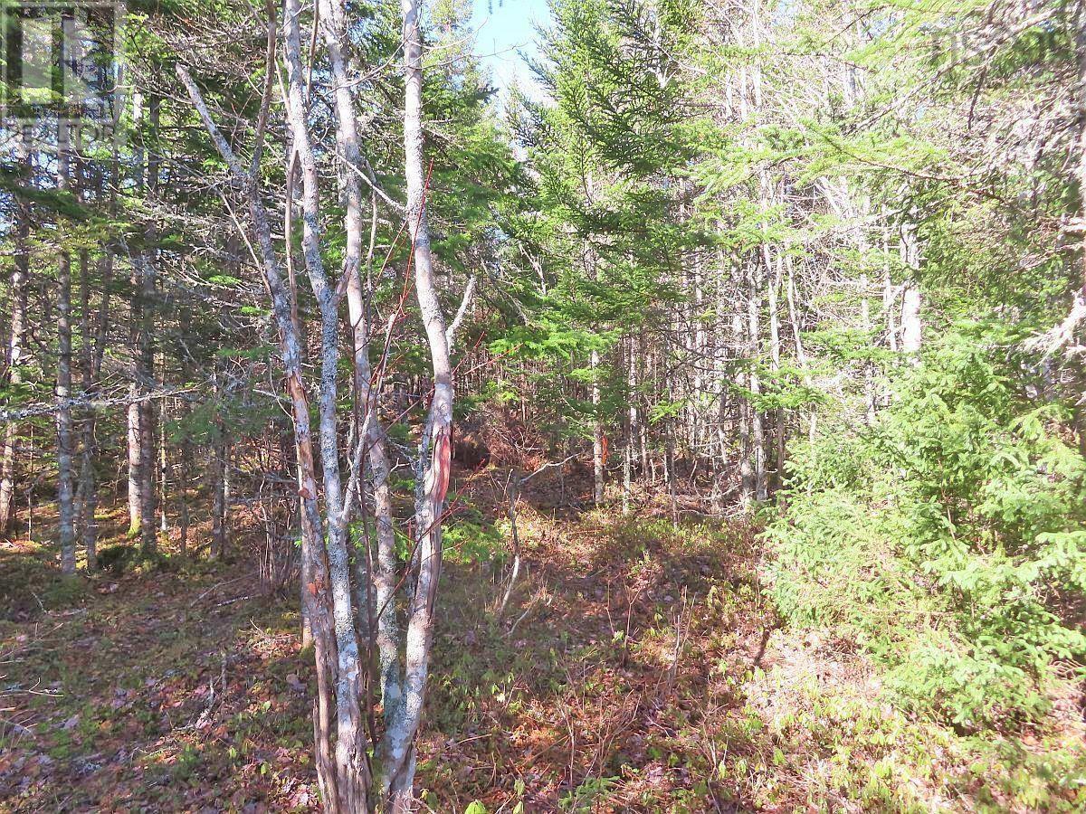 Lot5 Lower River Road, Grantville, Nova Scotia  B0E 1J0 - Photo 28 - 202403617