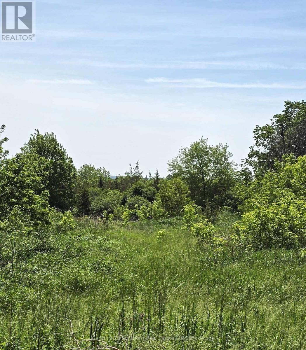 1054 Melrose Road, Tyendinaga, Ontario  K0K 3A0 - Photo 41 - X13412506