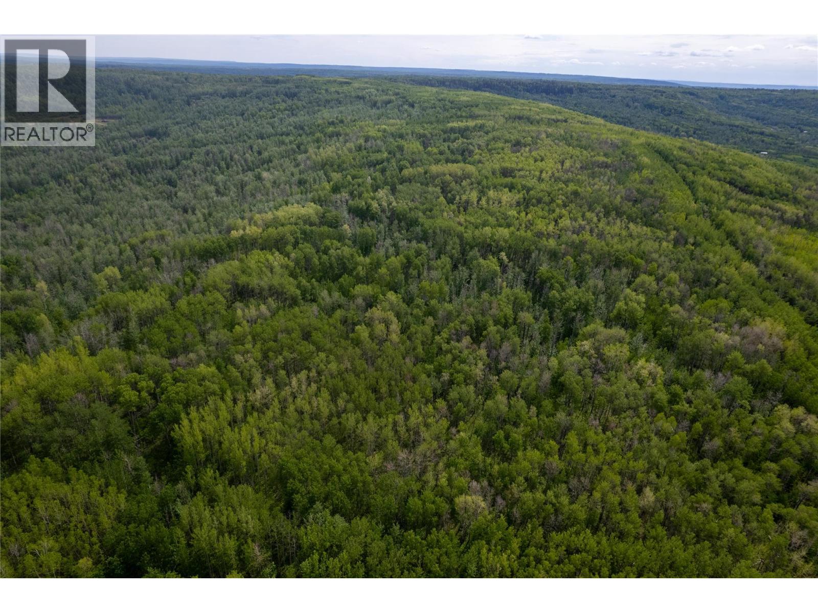 Near 206 Road, Dawson Creek, British Columbia  V0C 2C0 - Photo 2 - 10390263