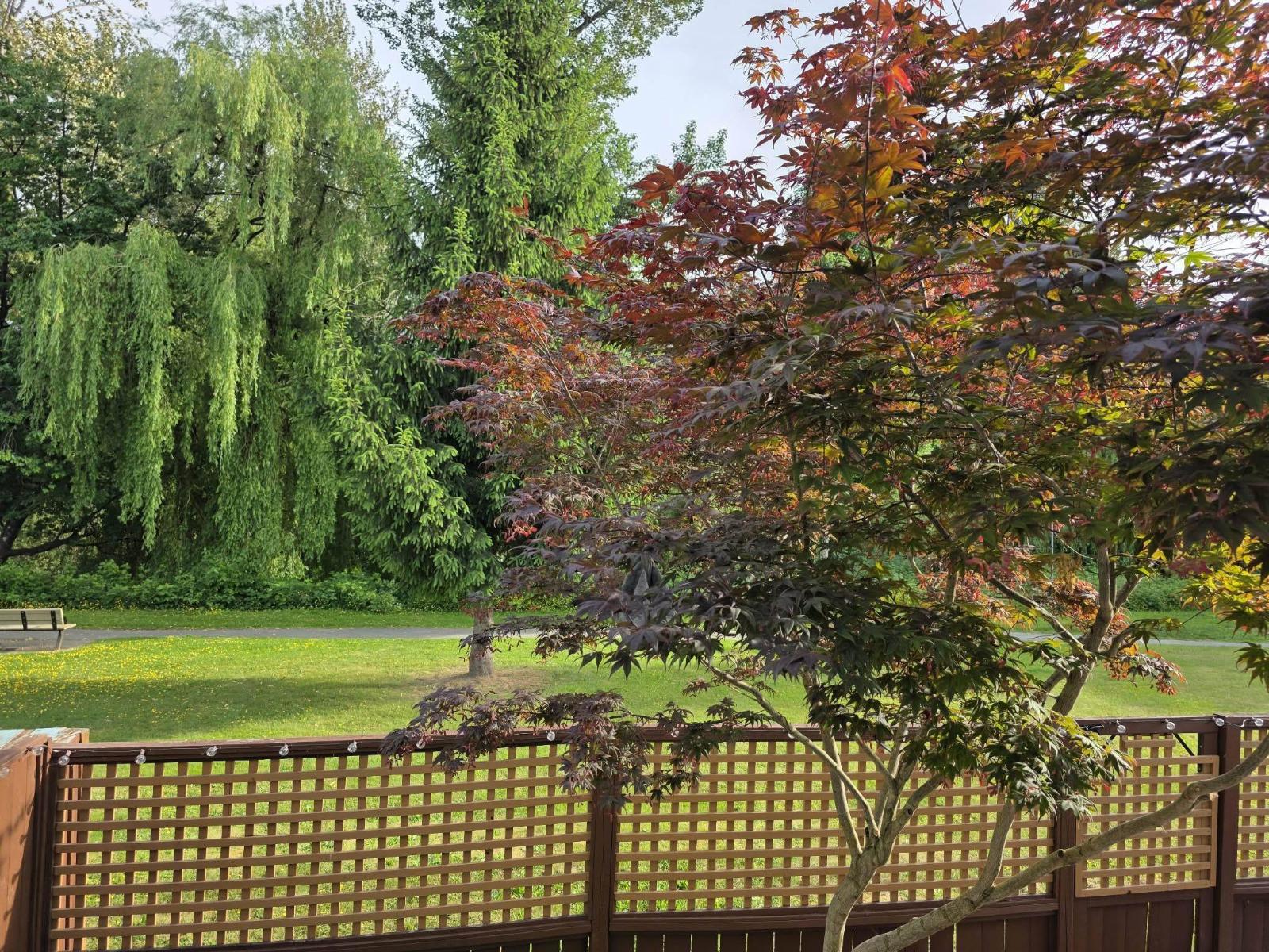 Listing image 33