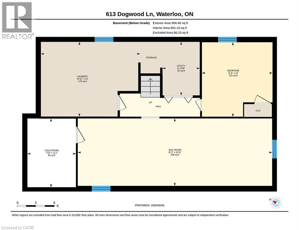 613 Dogwood Lane, Waterloo, Ontario  N2L 4Y2 - Photo 41 - 40837317