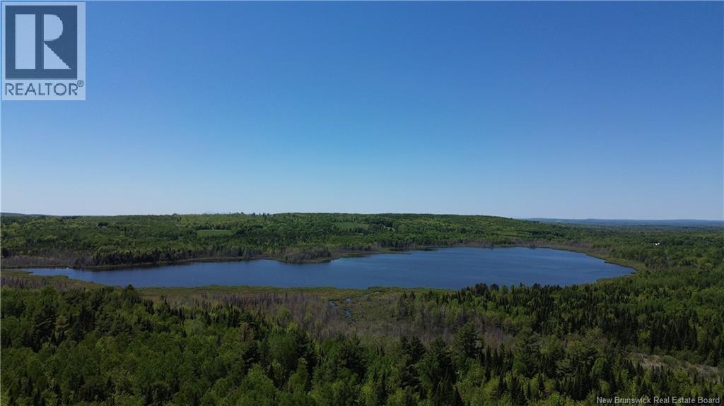0 Tobin Road, Elmwood, New Brunswick  E7N 2C5 - Photo 4 - NB132362
