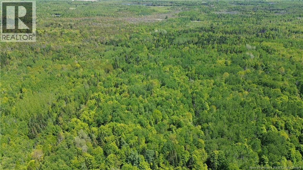 0 Tobin Road, Elmwood, New Brunswick  E7N 2C5 - Photo 9 - NB132362