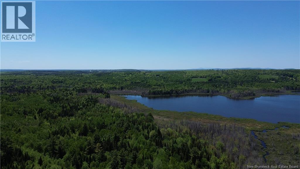 0 Tobin Road, Elmwood, New Brunswick  E7N 2C5 - Photo 5 - NB132362