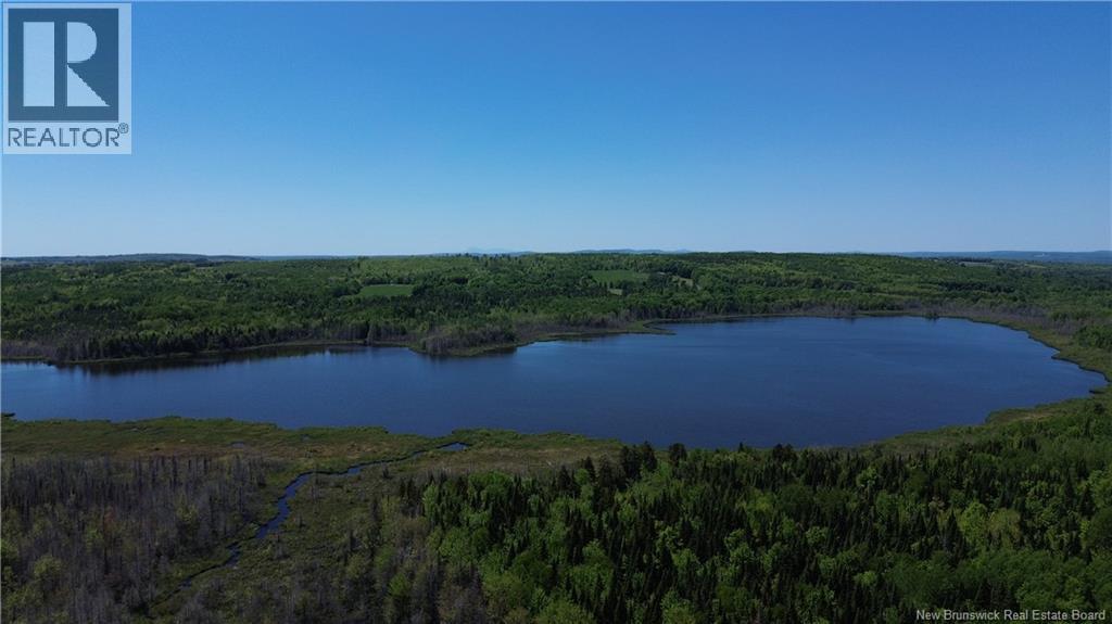 0 Tobin Road, Elmwood, New Brunswick  E7N 2C5 - Photo 6 - NB132362