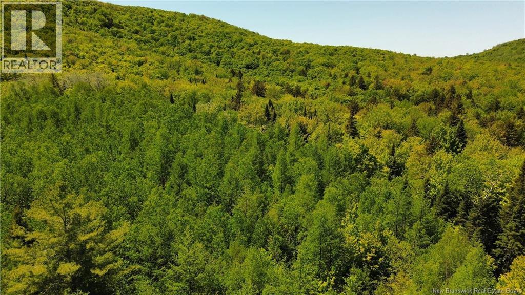 Lot Kintore Road, Kintore, New Brunswick  E7H 2L4 - Photo 12 - NB132556