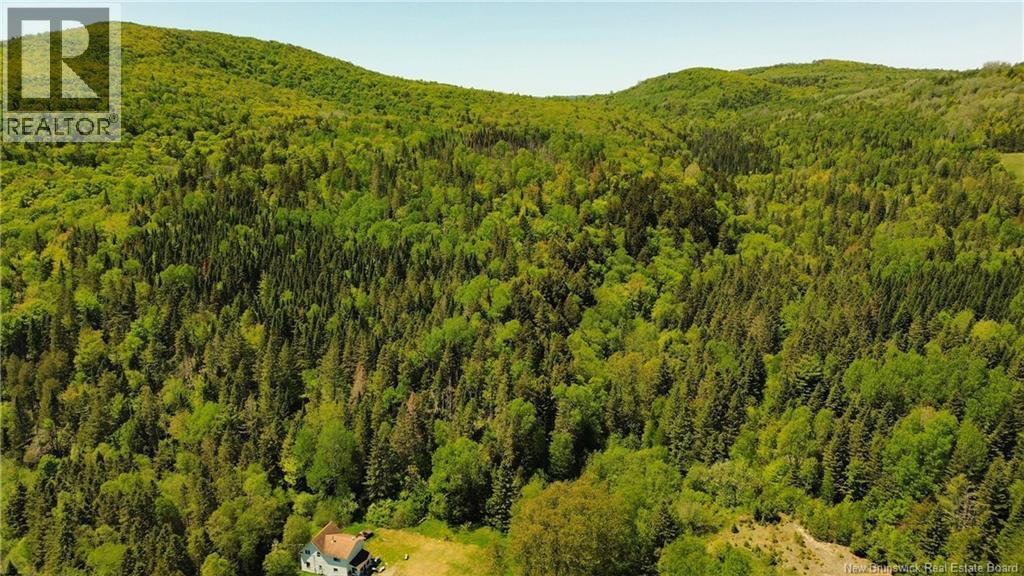 Lot Kintore Road, Kintore, New Brunswick  E7H 2L4 - Photo 11 - NB132556