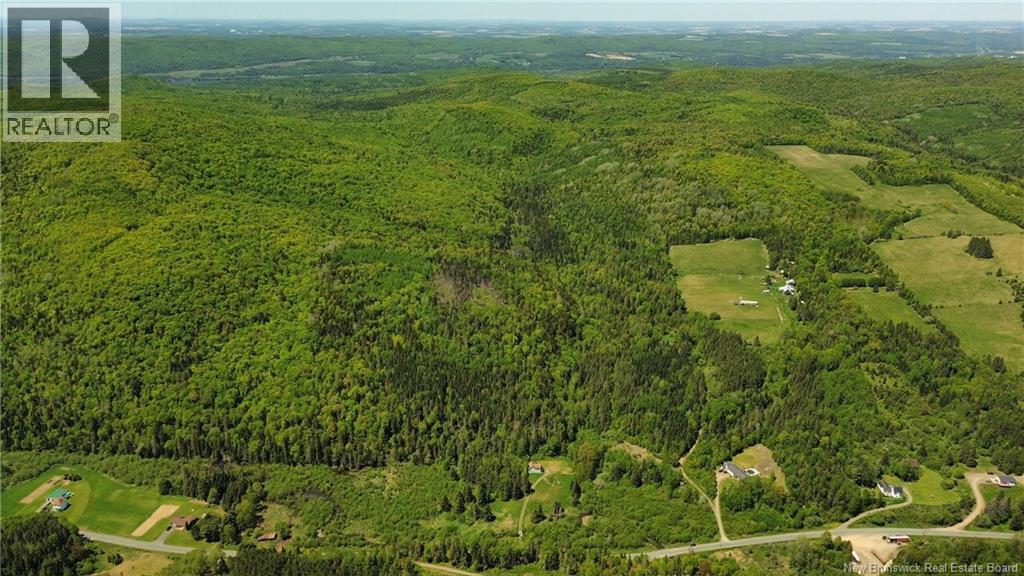 Lot Kintore Road, Kintore, New Brunswick  E7H 2L4 - Photo 7 - NB132556