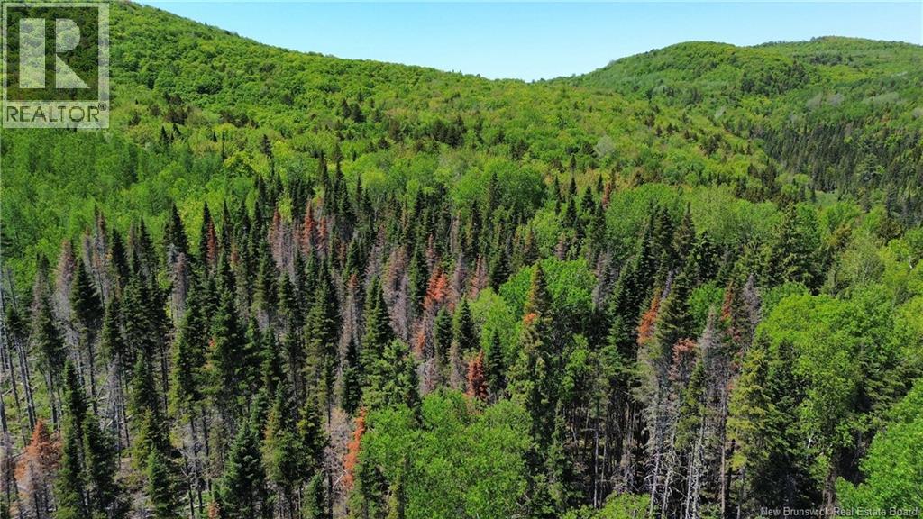 Lot Kintore Road, Kintore, New Brunswick  E7H 2L4 - Photo 6 - NB132556