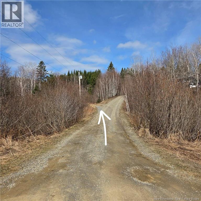 Lot Kintore Road, Kintore, New Brunswick  E7H 2L4 - Photo 19 - NB132556