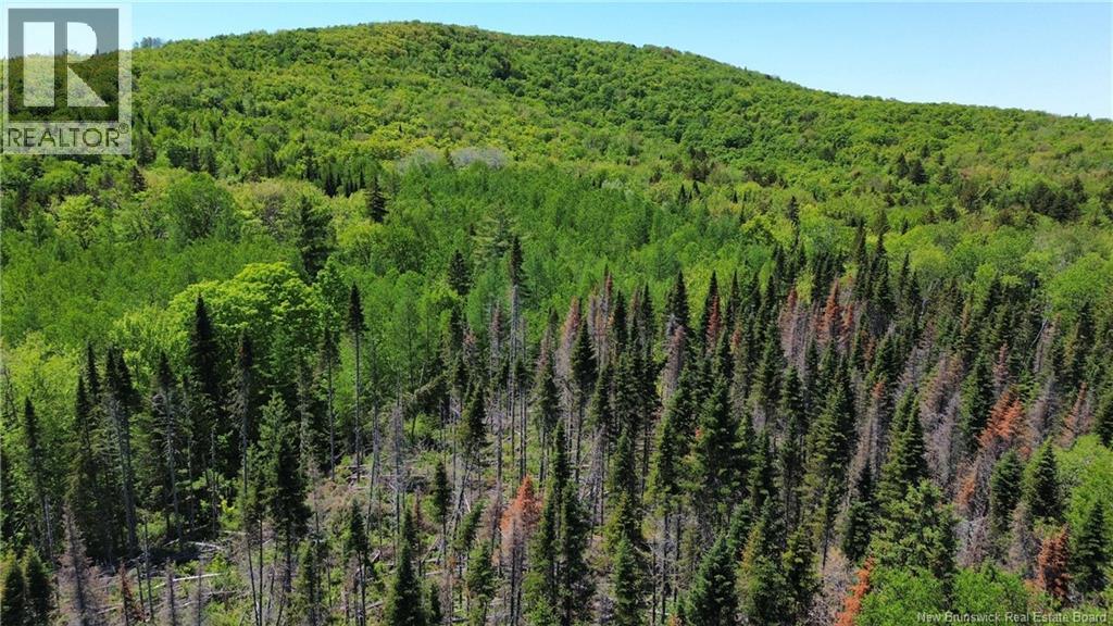 Lot Kintore Road, Kintore, New Brunswick  E7H 2L4 - Photo 10 - NB132556