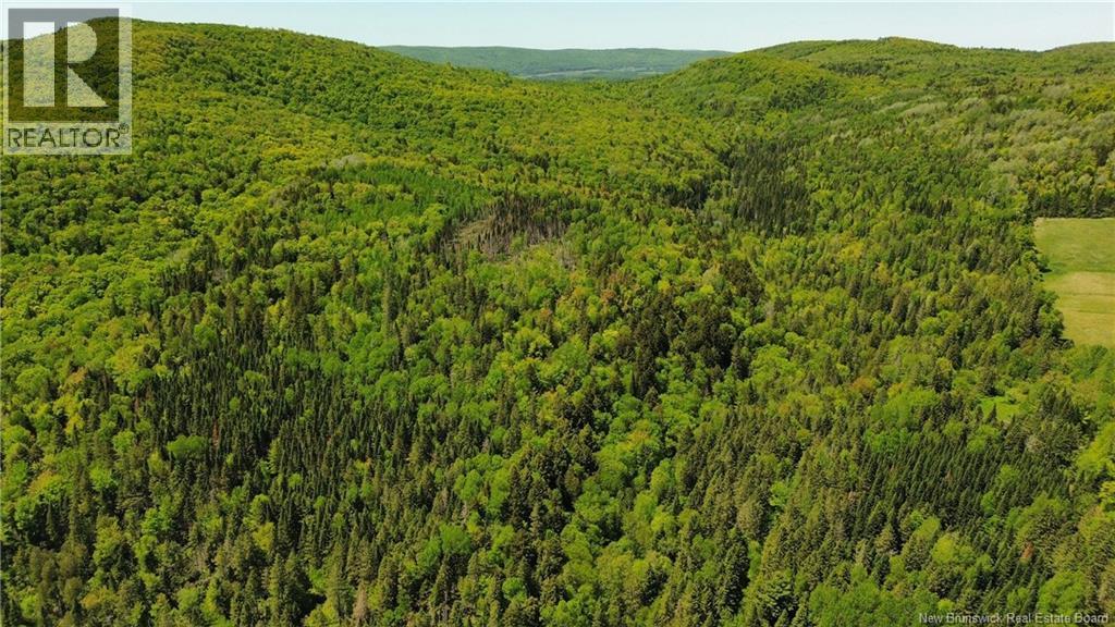 Lot Kintore Road, Kintore, New Brunswick  E7H 2L4 - Photo 5 - NB132556