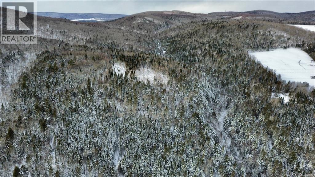 Lot Kintore Road, Kintore, New Brunswick  E7H 2L4 - Photo 24 - NB132556