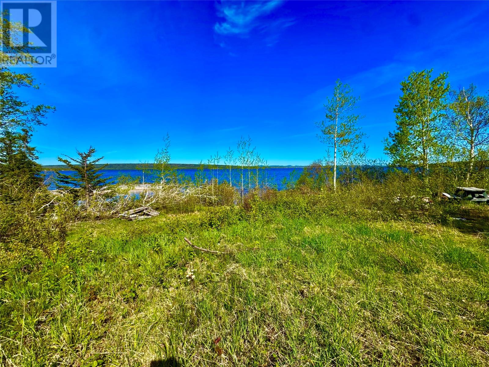 8 Gillingham Avenue, Norris Arm, Newfoundland & Labrador A0G 3M0 - Photo 45 - 1298596