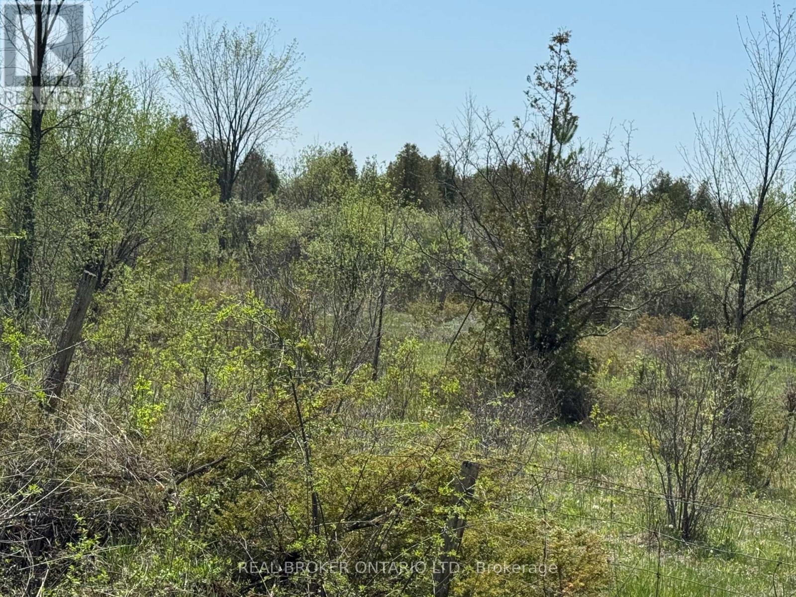 00 William Campbell Road, Montague, Ontario  K7A 4S7 - Photo 11 - X13413098