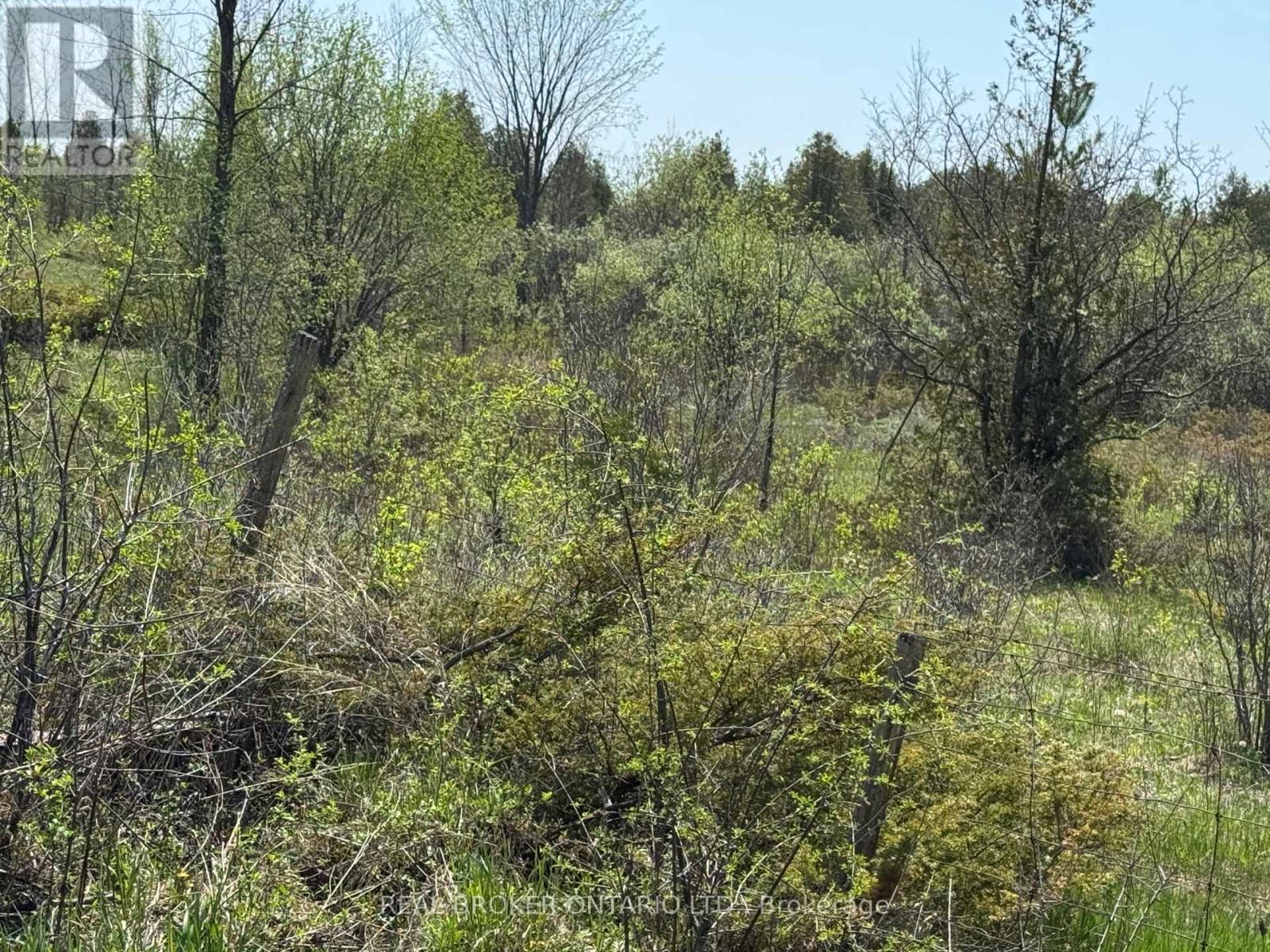 00 William Campbell Road, Montague, Ontario  K7A 4S7 - Photo 9 - X13413098