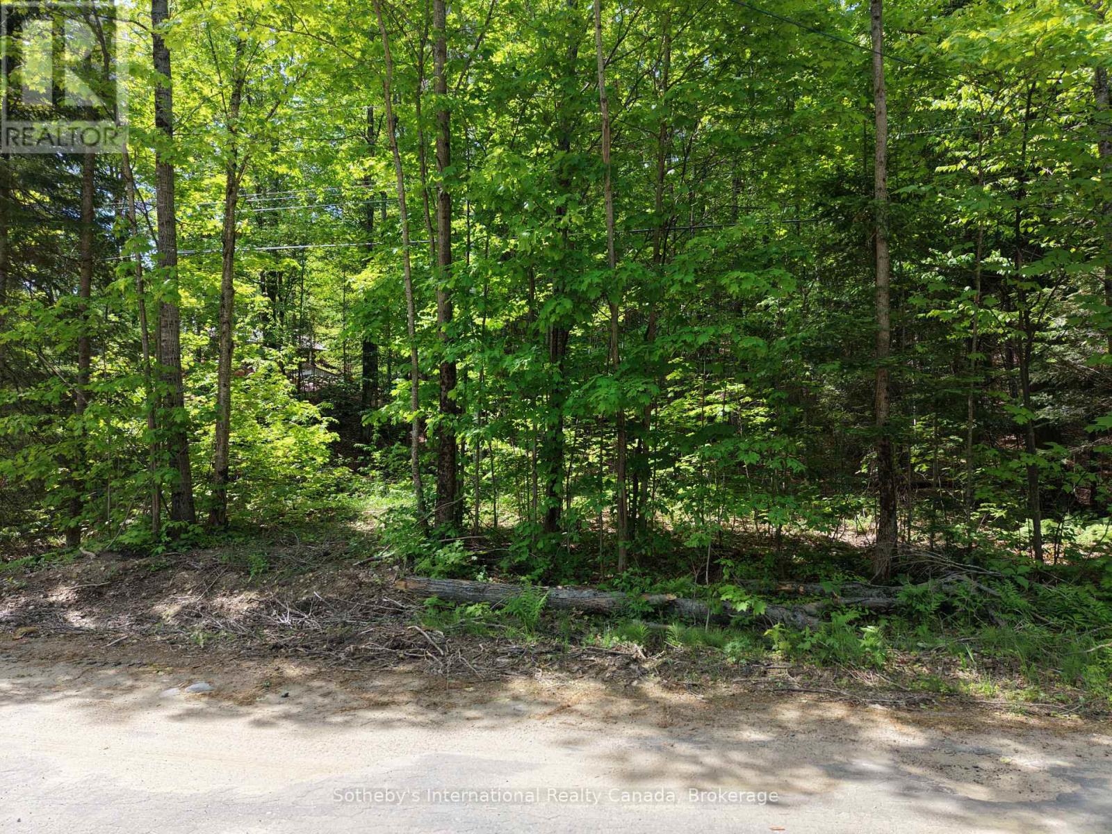 0 Mink Lot 17 Road, Dysart Et Al, Ontario  K0M 1S0 - Photo 5 - X13018236