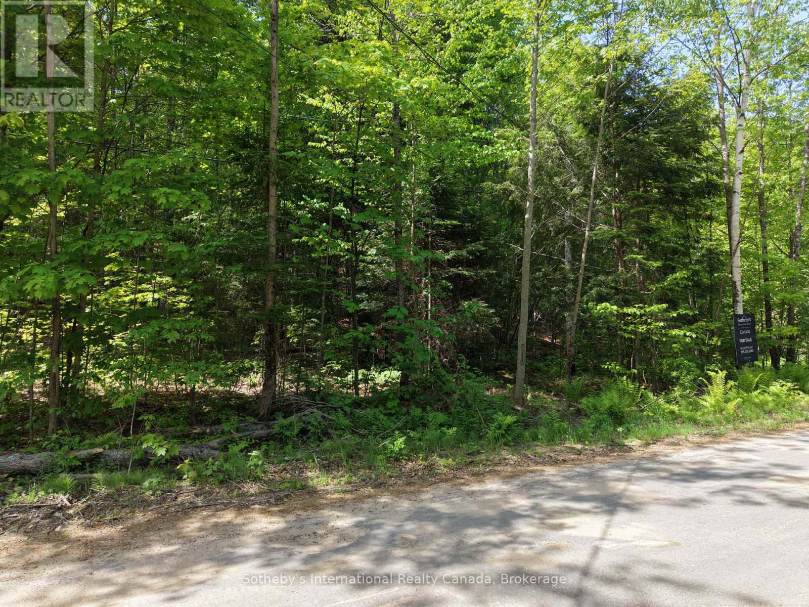 0 Mink Lot 17 Road, Dysart Et Al, Ontario  K0M 1S0 - Photo 6 - X13018236