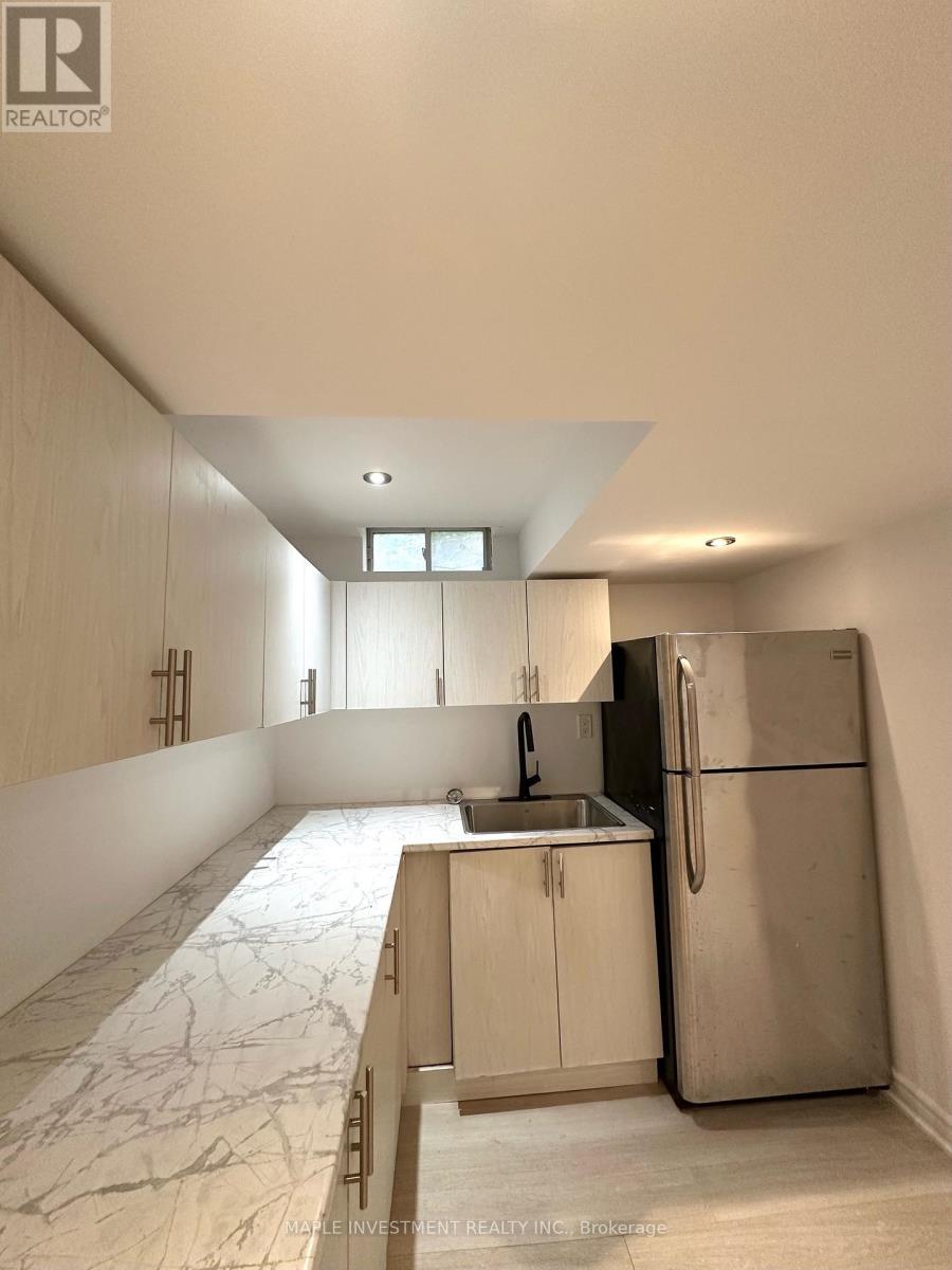 Basement - 97 Long Point Drive, Richmond Hill, Ontario  L4E 3Z7 - Photo 6 - N13413388