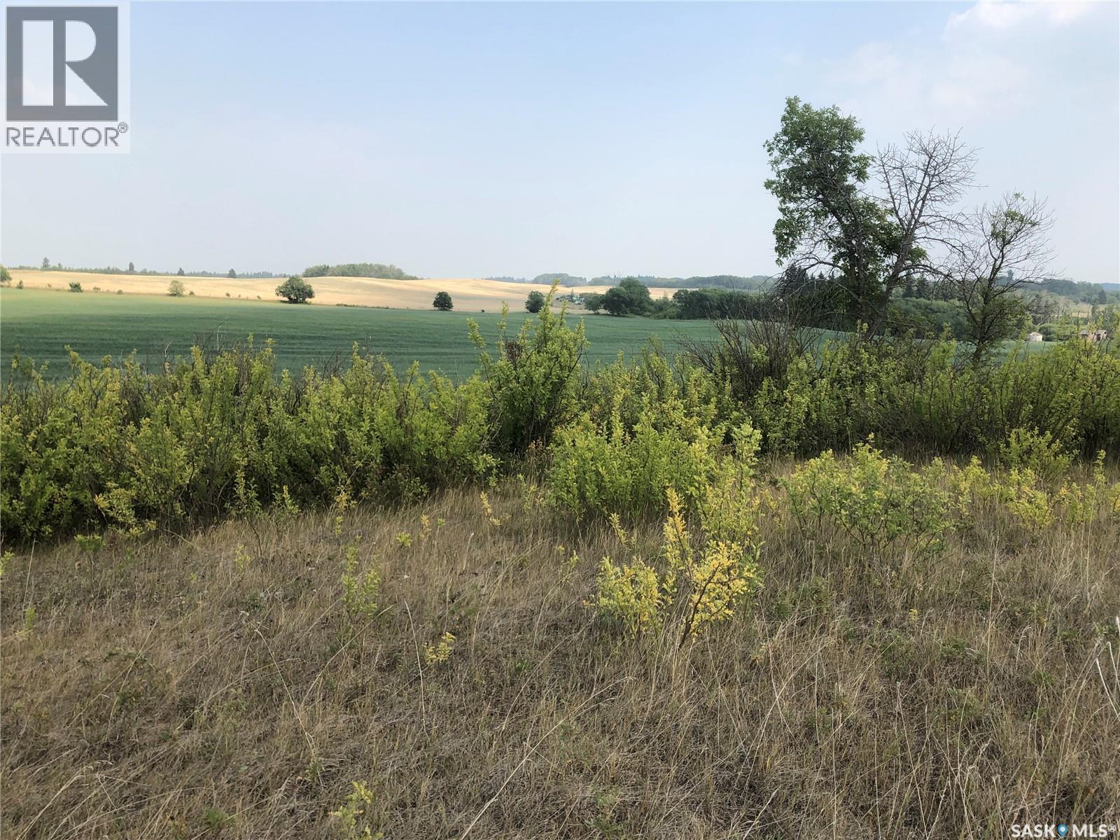 Canwood Farmland, Canwood Rm No. 494, Saskatchewan  S0J 0K0 - Photo 4 - SK038252