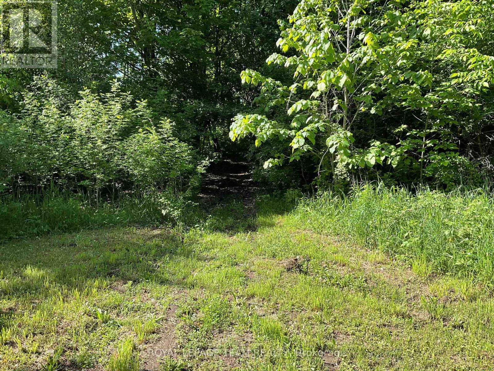1255 Old Perth Road, Mississippi Mills, Ontario K0A 1A0 - Photo 21 - X13005062