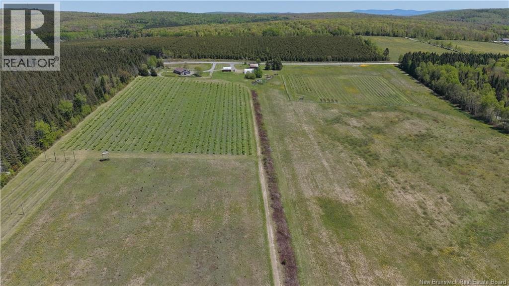 155 Rang 16 Tier Sud Road, Saint-Quentin, New Brunswick  E8A 2H6 - Photo 6 - NB140661