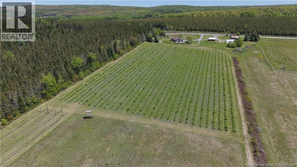 155 Rang 16 Tier Sud Road, Saint-Quentin, New Brunswick  E8A 2H6 - Photo 5 - NB140661