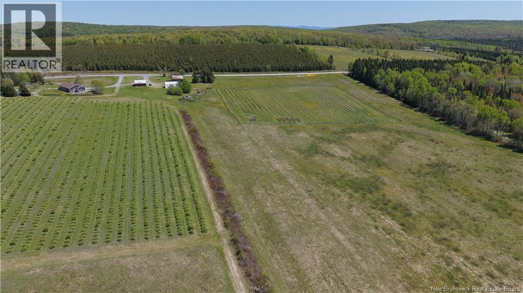 155 Rang 16 Tier Sud Road, Saint-Quentin, New Brunswick  E8A 2H6 - Photo 8 - NB140661