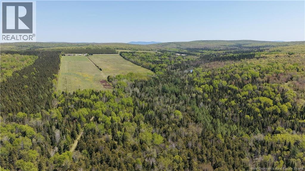 155 Rang 16 Tier Sud Road, Saint-Quentin, New Brunswick  E8A 2H6 - Photo 11 - NB140661