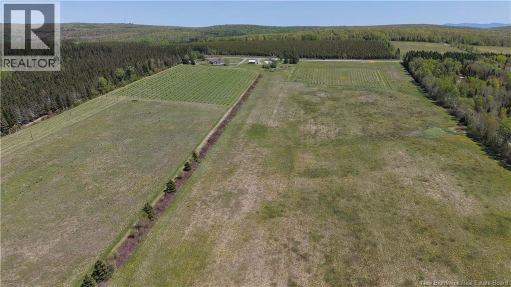 155 Rang 16 Tier Sud Road, Saint-Quentin, New Brunswick  E8A 2H6 - Photo 10 - NB140661