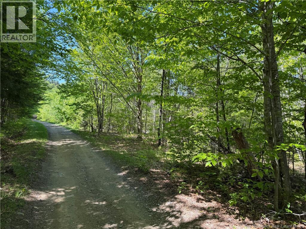 124 Greenhill Lake Road, Green Hill, New Brunswick  E6E 1G2 - Photo 1 - NB141147