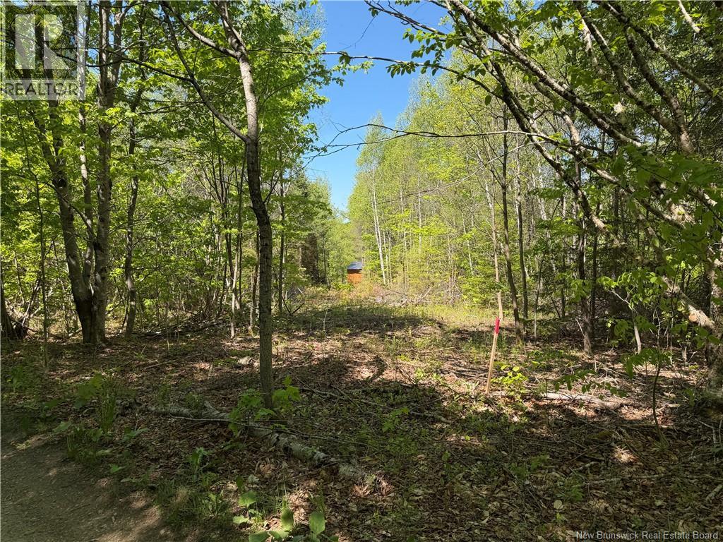 124 Greenhill Lake Road, Green Hill, New Brunswick  E6E 1G2 - Photo 3 - NB141147