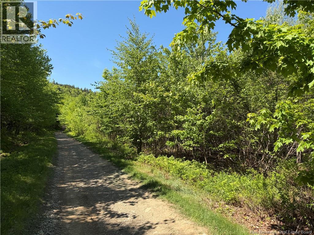 124 Greenhill Lake Road, Green Hill, New Brunswick  E6E 1G2 - Photo 2 - NB141147