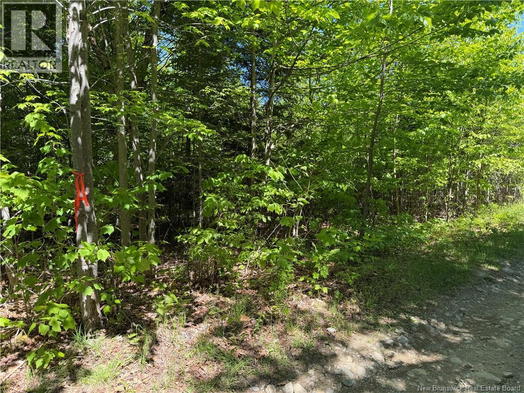 124 Greenhill Lake Road, Green Hill, New Brunswick  E6E 1G2 - Photo 4 - NB141147