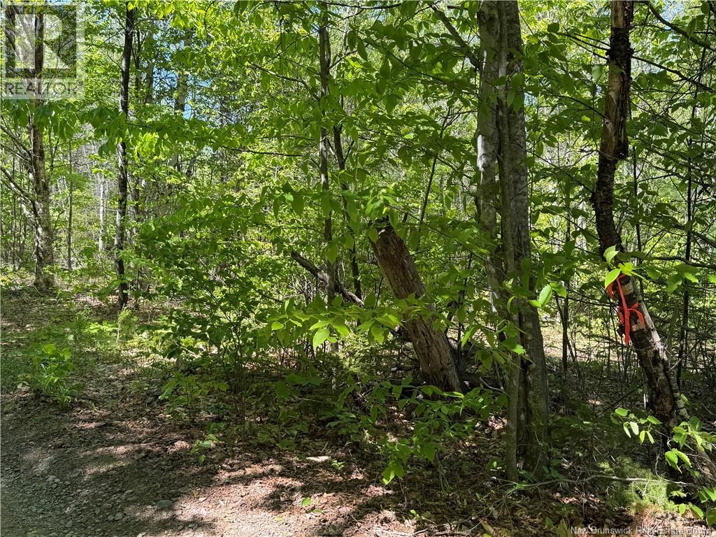 124 Greenhill Lake Road, Green Hill, New Brunswick  E6E 1G2 - Photo 5 - NB141147