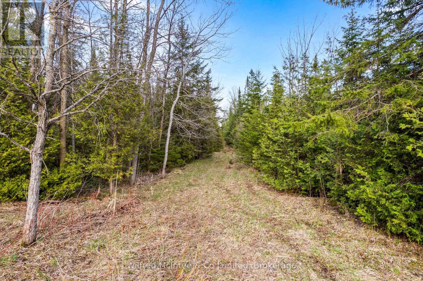 312513 Hwy 6, Southgate, Ontario  N0G 1R0 - Photo 14 - X13413692