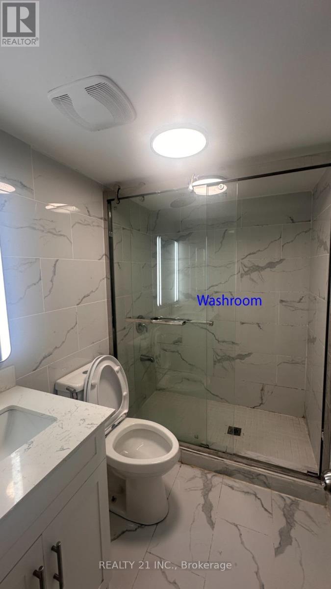 Basement - 164 Williamson Drive E, Ajax, Ontario  L1Z 0G7 - Photo 10 - E13020344
