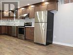 Bsmt - 391 Peter Rupert Avenue, Vaughan, Ontario  L6A 0N8 - Photo 2 - N13413482