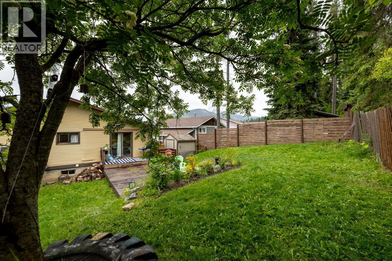 1241 Pinyon Road, Sparwood, British Columbia  V0B 2G0 - Photo 43 - 10390598