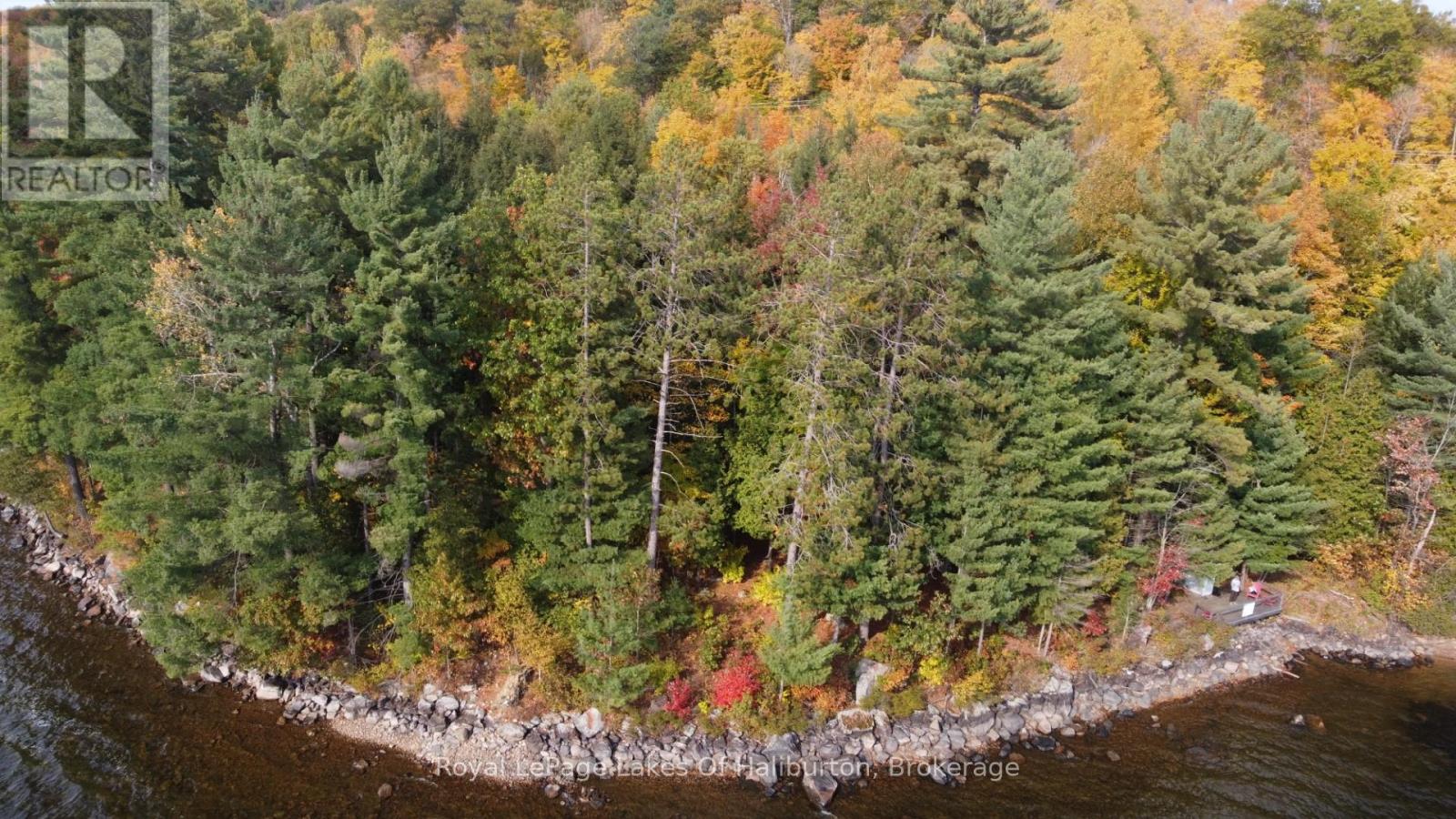 0 Hwy 35, Algonquin Highlands, Ontario  K0M 1S0 - Photo 2 - X12116185