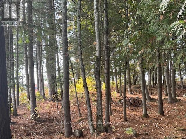 0 Hwy 35, Algonquin Highlands, Ontario  K0M 1S0 - Photo 17 - X12116185