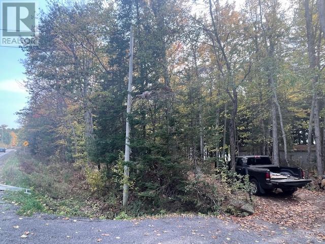 0 Hwy 35, Algonquin Highlands, Ontario  K0M 1S0 - Photo 30 - X12116185