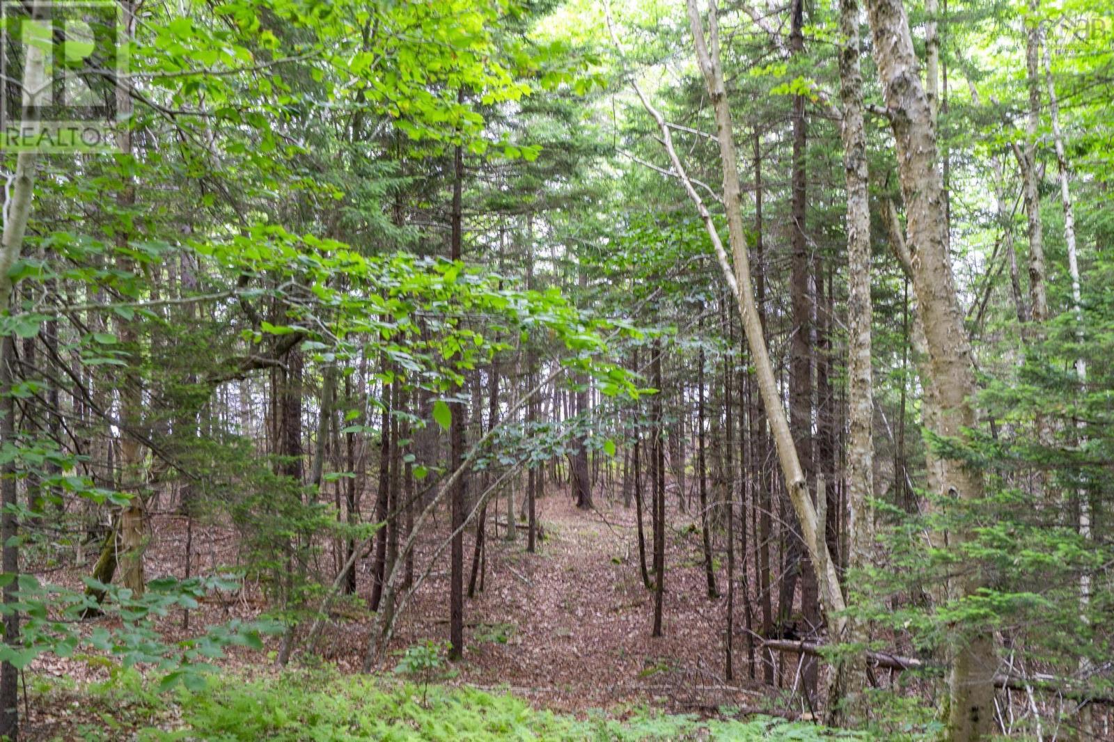 Lot 1 Highway 1, Grosses Coques, Nova Scotia  B0W 1M0 - Photo 36 - 202517554