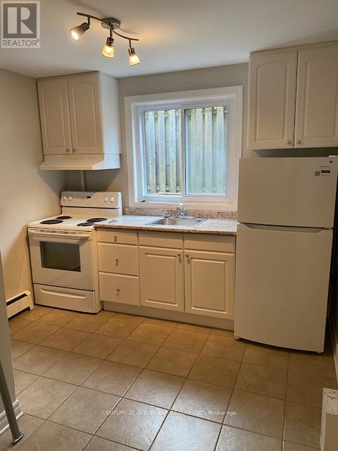 543 Kirkwood Avenue, Ottawa, Ontario K1Z 5X2 - Photo 11 - X13080986