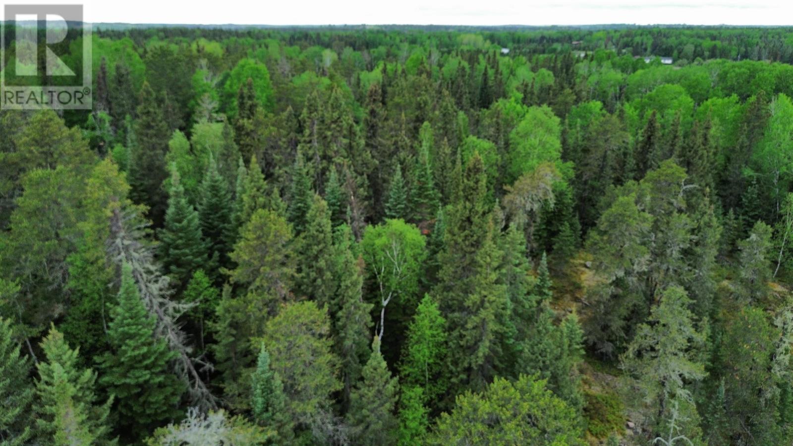Lot 5 Eagle Bay Road, Kenora, Ontario  P9N 4L3 - Photo 6 - TB2601392